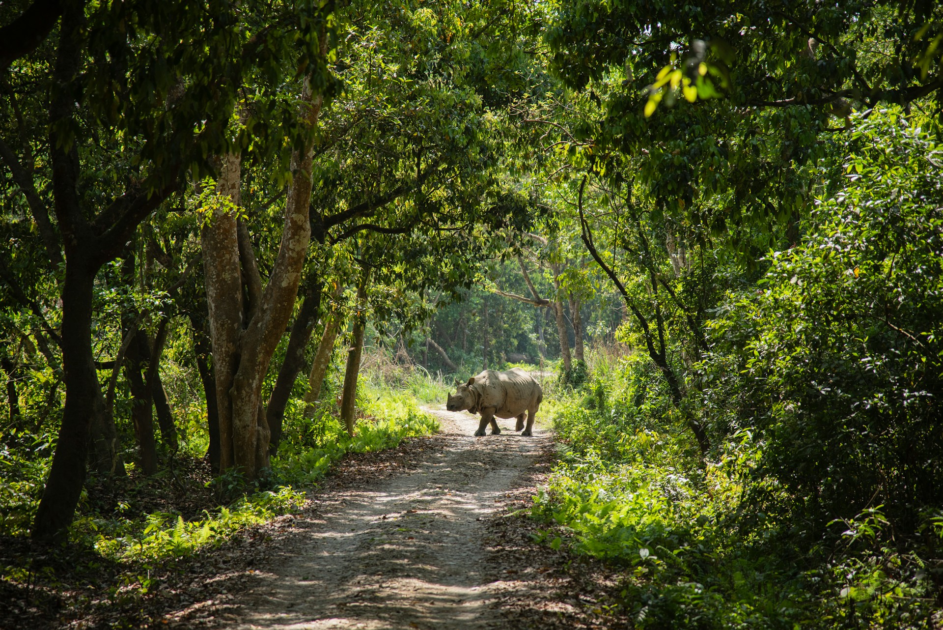 Chitwan National Park Safari Tour – 06 days